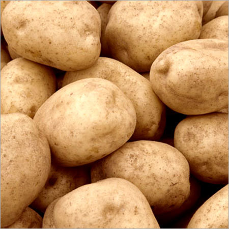 Potato