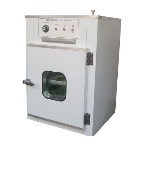 EGG INCUBATOR