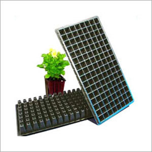 Seedling Tray