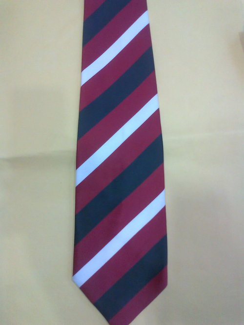 Striped Neck Ties