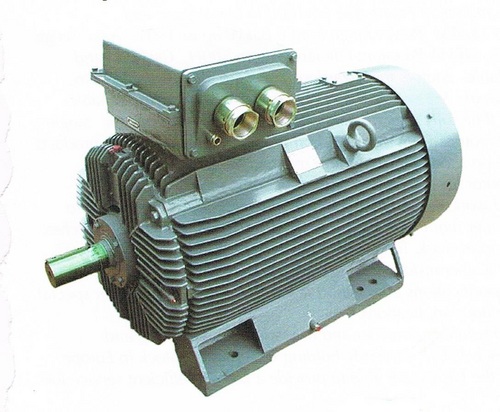 Electric Motor