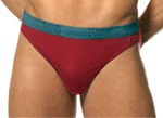 French Cut Brief