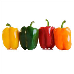Capcicum