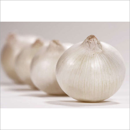 White Onion