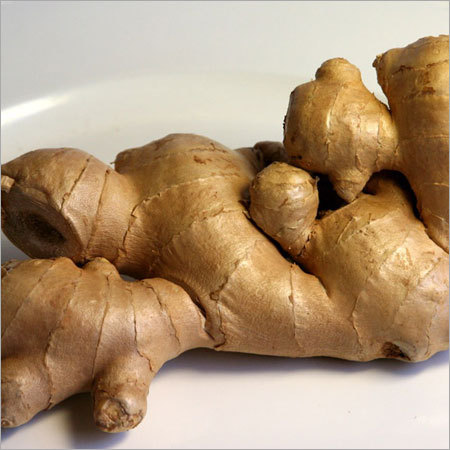 Ginger
