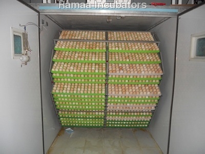 Egg Incubators
