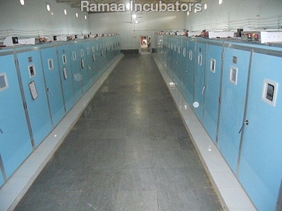 Poultry Incubators