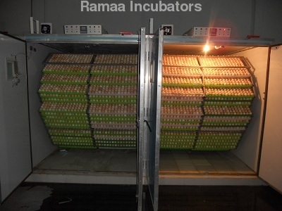 Egg Incubators