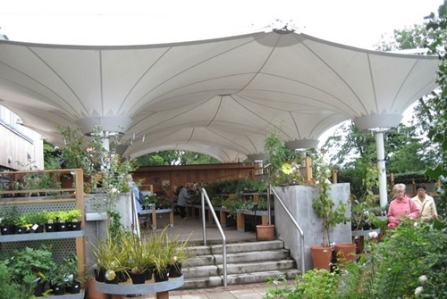 Outdoor Canopy