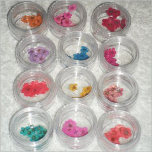Dry Flowers Nail Art
