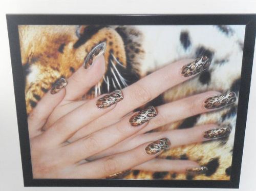 Nails Care Accessories
