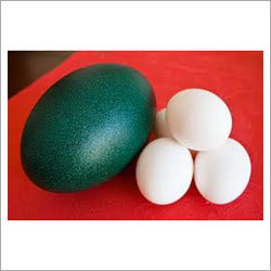 EMU Eggs