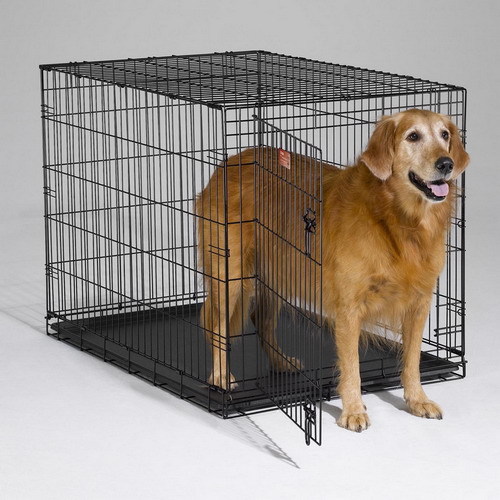 dog kennel