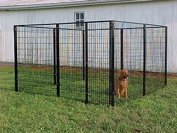 dog kennel