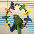 Parrot Toys