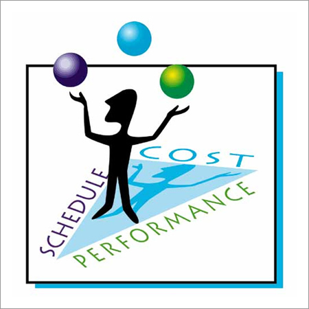 IT Project Management