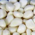 Peeled Garlic