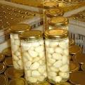 Peeled Garlic