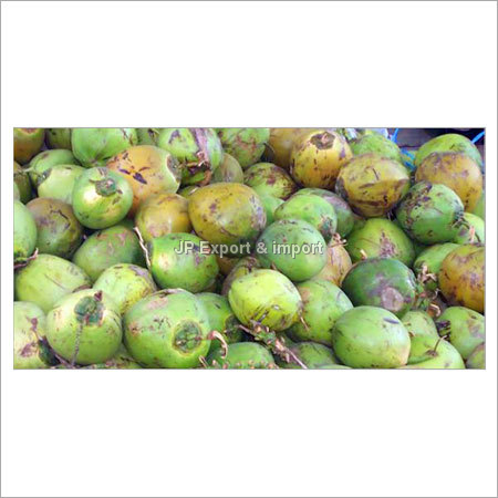 Green Fresh Coconut - Hard Shell, White Flesh, Variable Size | Fresh, Hydrating, Nutritious, Organic, Versatile