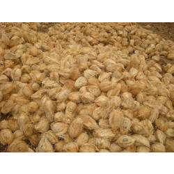 Dry Coconuts - Coconut, Bulk Packaging | Natural Flavor, Shelf-Stable, Versatile Uses