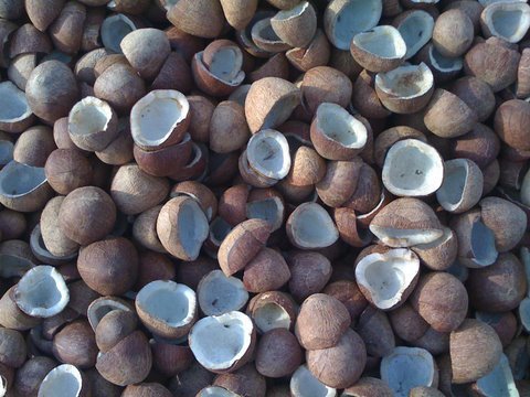 Coconut copra