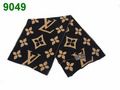 Louis Vuitton Long Scarf