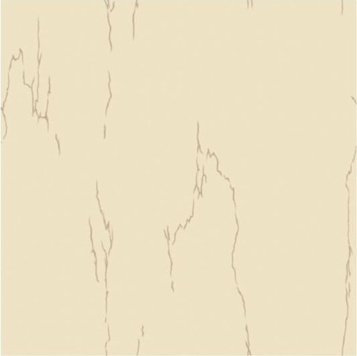Engrossed Vitrified Tiles
