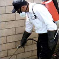 Housekeeping Services