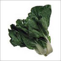 Bokchoy