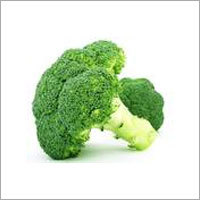 Broccoli