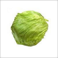 Cabbage Lettuce