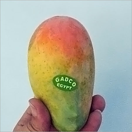 Mango Mabrokah