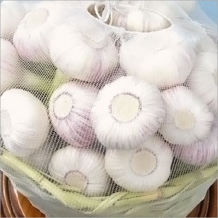 Garlic Green Cut
