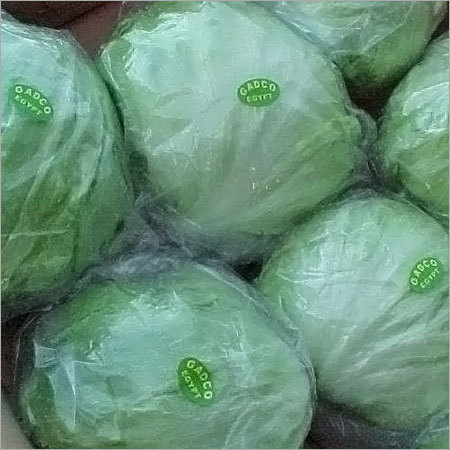 Iceberg Lettuce