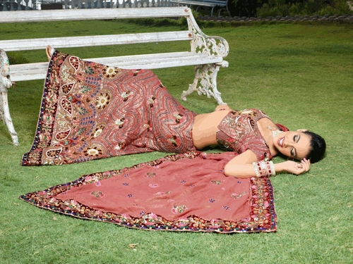 Fancy Embroidered Designer Sarees Exporters India