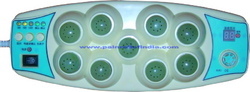 Acupressure Thermal Massager