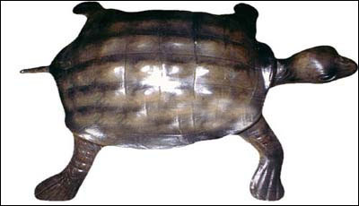Leather Tortoise