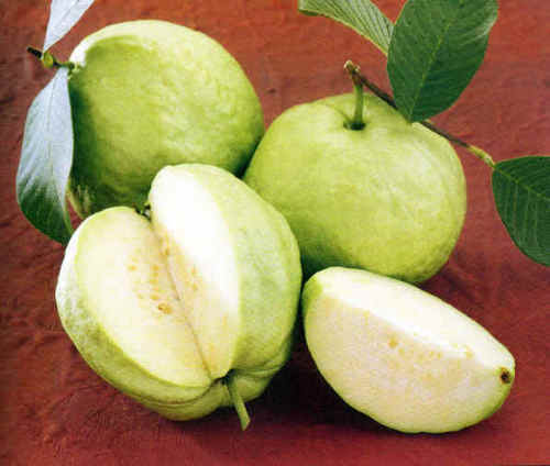 White Guava