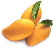 Fresh Mango