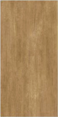 Canada Teak 600x300 Matt series