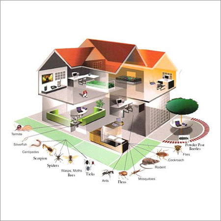 Pest Control