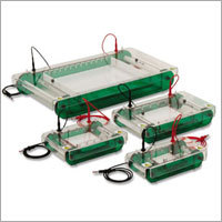Electrophoresis