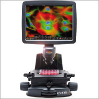 Inverted Microscopes