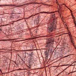 Bidasar Red Marble