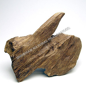 Agarwood Oil (Oud)