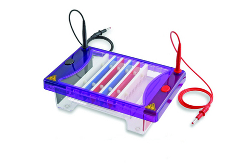 CREUZET Electrophoresis 