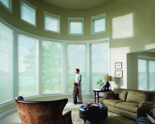 Silhouette Blind