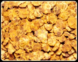 Chana Jor