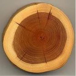 Wood Testing Services