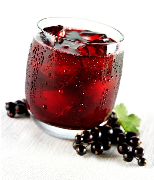 Blackcurrant Soft Drink Concentrate